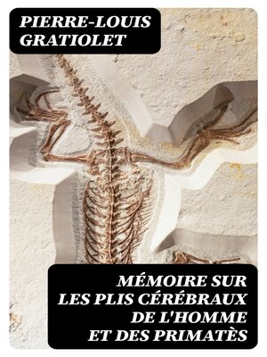cover image of Mémoire sur les plis cérébraux de l'homme et des primatès